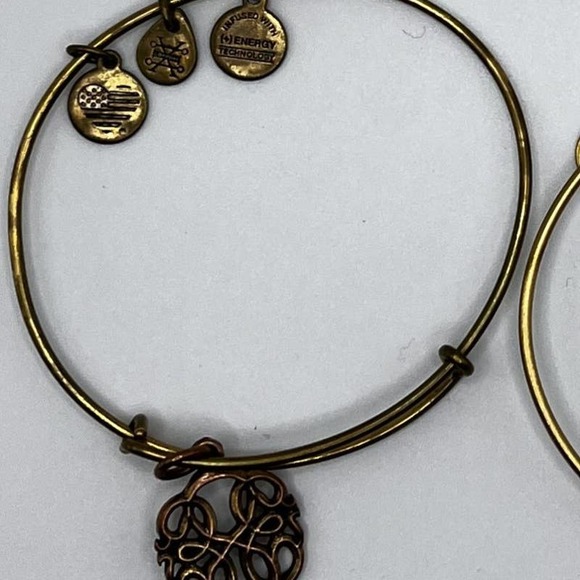 Alex & Ani Path of Life Charm Bangle Bracelet - Picture 1 of 4